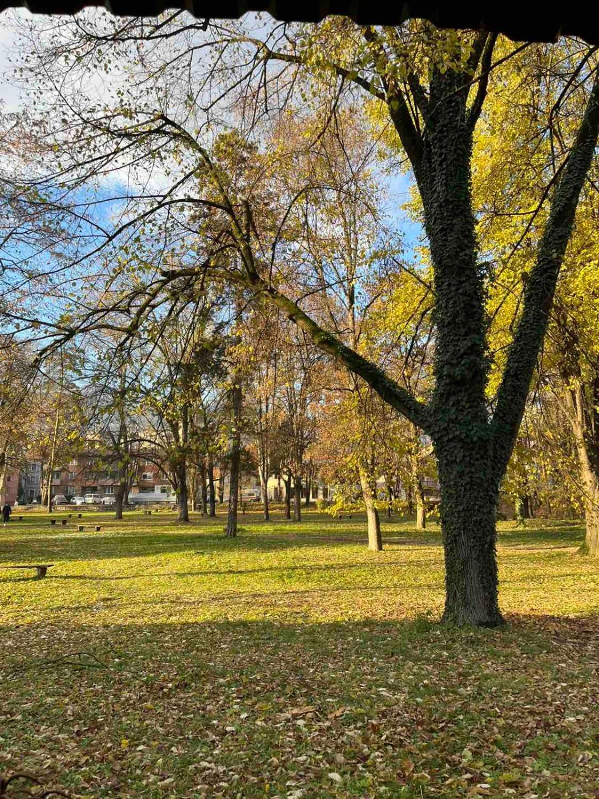 Park Apartment Foca Zewnętrze zdjęcie