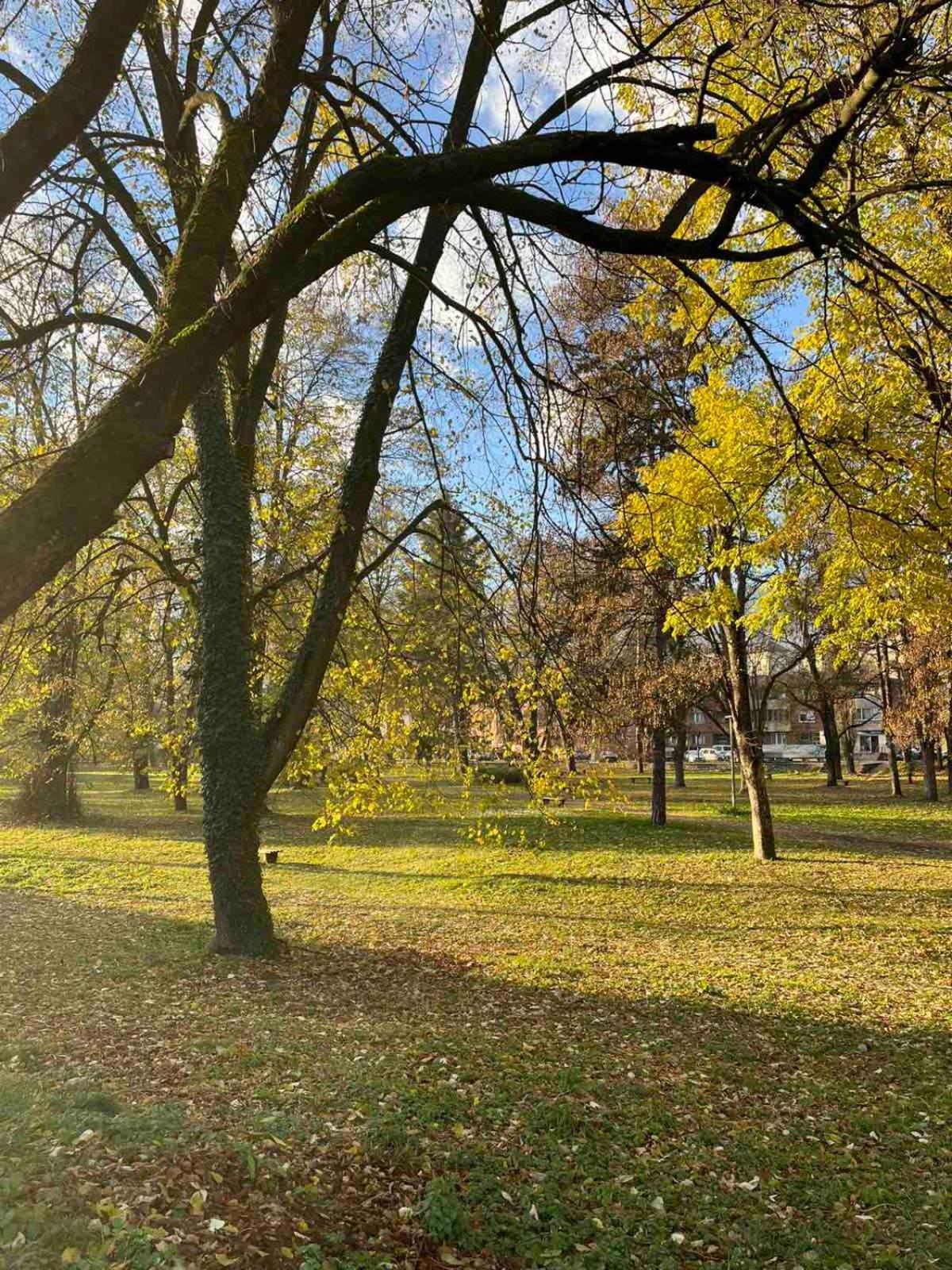Park Apartment Foca Zewnętrze zdjęcie
